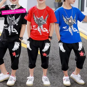 Boys Summer T-shirt   Shorts Set