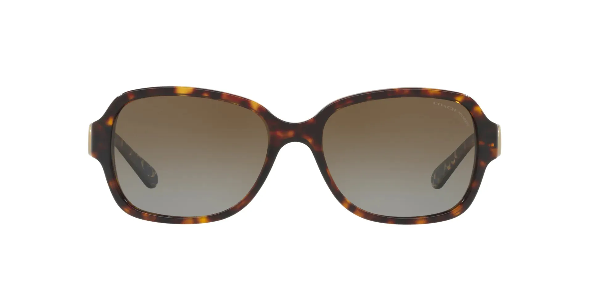 Coach L1031 HC8241 Sunglasses | Size 57