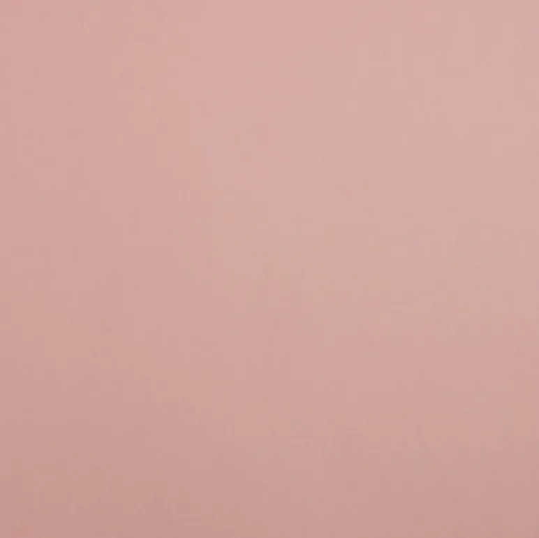 Coco Pool Slide - Blush