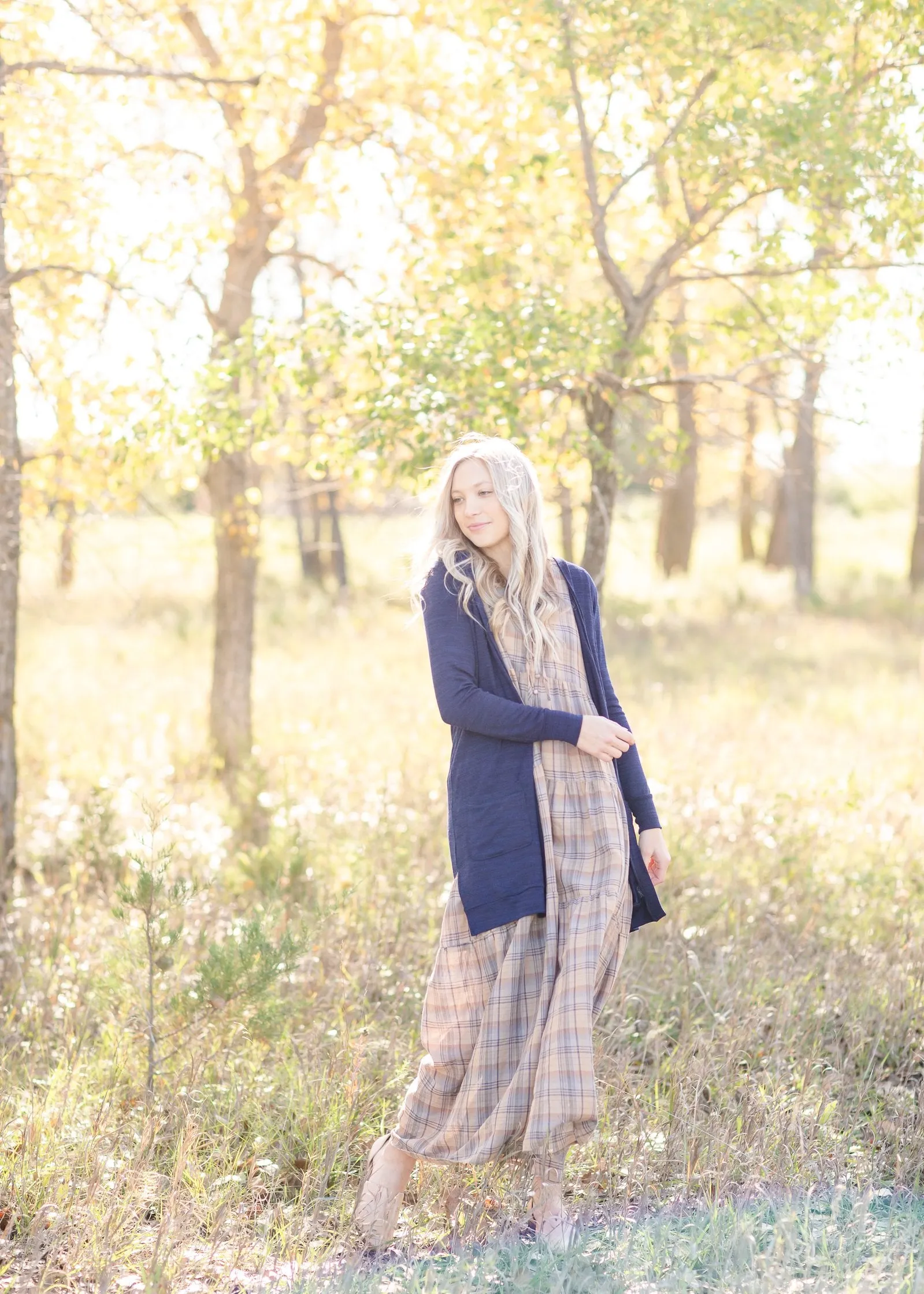 Plaid Button Down Flutter Sleeve Tiered Maxi Dress - FINAL SALE