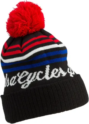 Salsa Logo Beanie