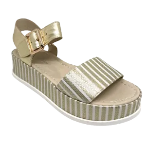 Wilburt  -  Gold stripe