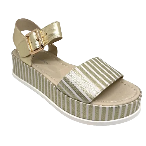Wilburt  -  Gold stripe