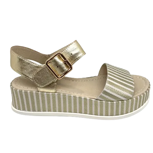 Wilburt  -  Gold stripe